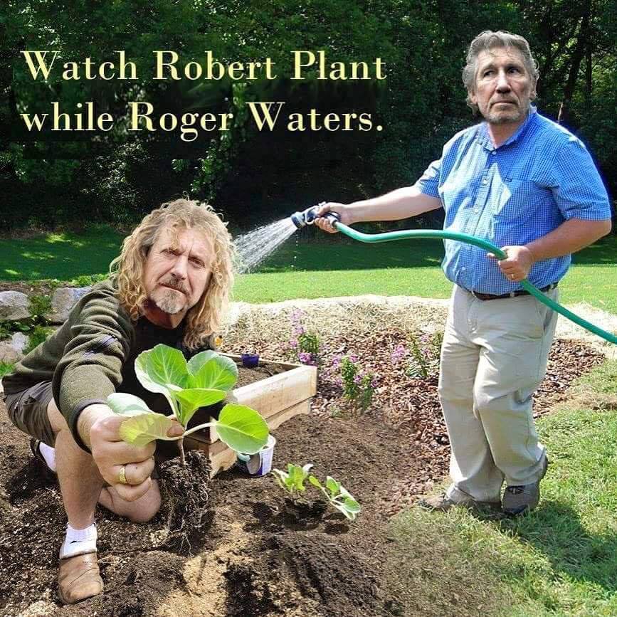 Plant Waters.jpg